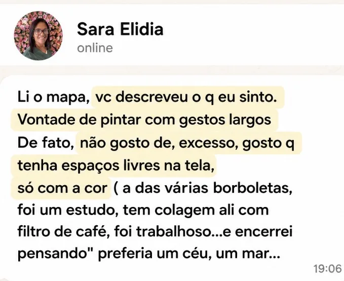 Depoimento de Sara Elidia sobre o mapa da sua linguagem visual
